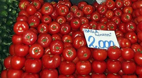 fethiye halinde domates fiyatı